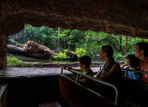 リバーワンダー